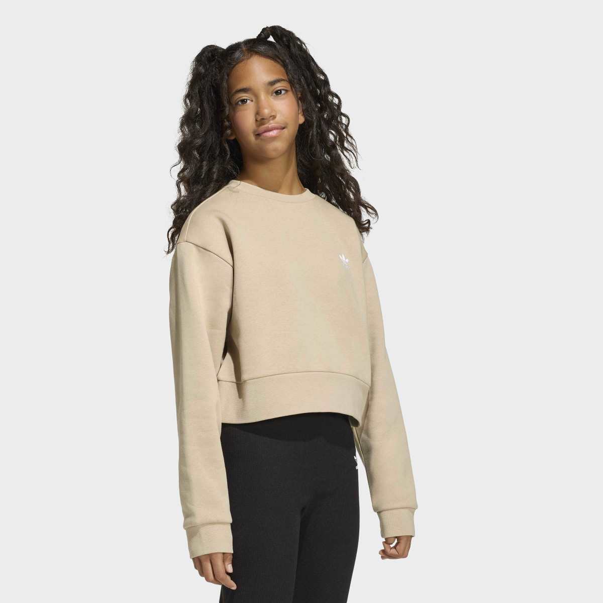 DUKS ADIDAS BOXY CREW GG