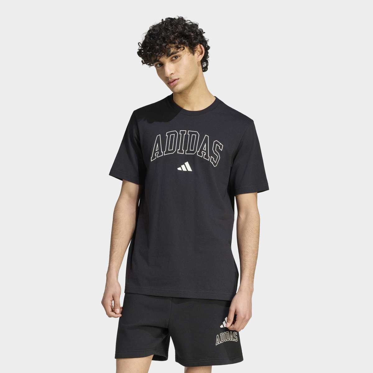 MAJICA ADIDAS M COLLEGIATE T M